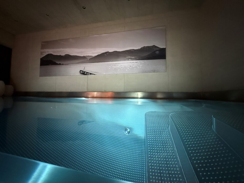 Indoor Pool aus Edelstahl. Teile der Treppe und ein Wandbild mit Bergkette.